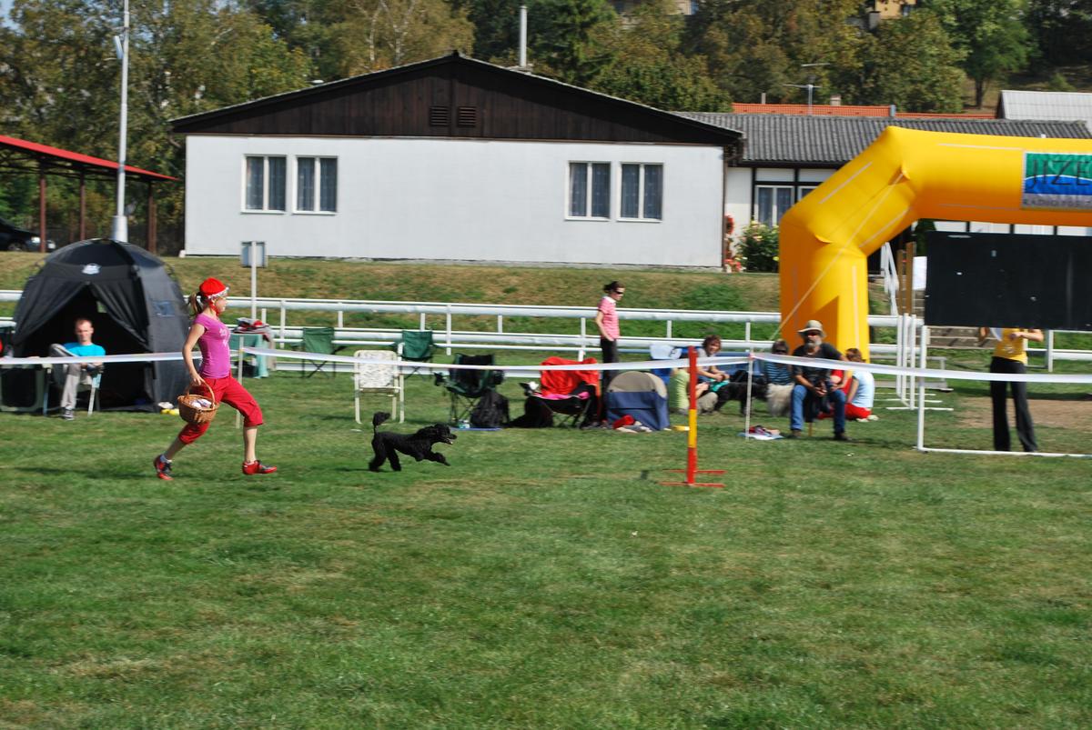 DSC_0854.jpg